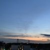_shir717_